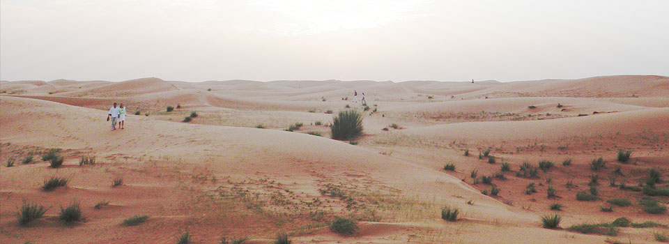 Dubai_desert