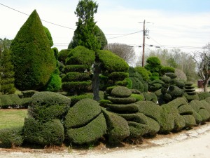 Pearl Fryar plant sculpture in South Carolina