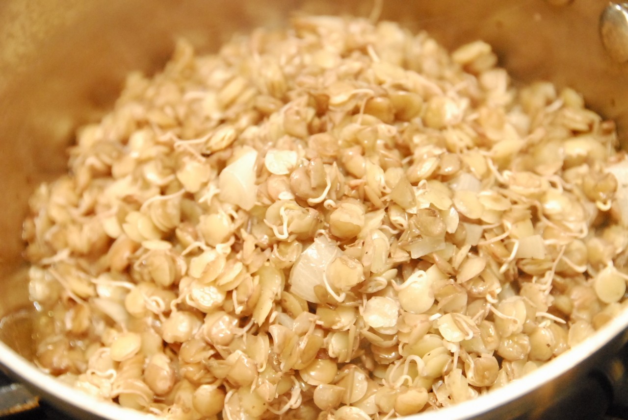 Sprouted grain