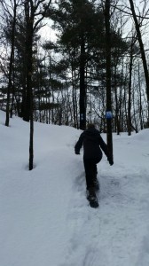 Hill Climbs on Snowshoe in Gatineau Park