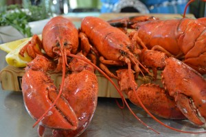 Nova Scotia Lobsters with Chef Alain Bosse
