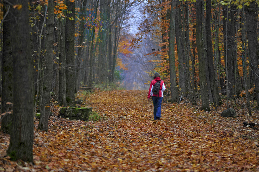 Fall Hiking-visitgrey.ca